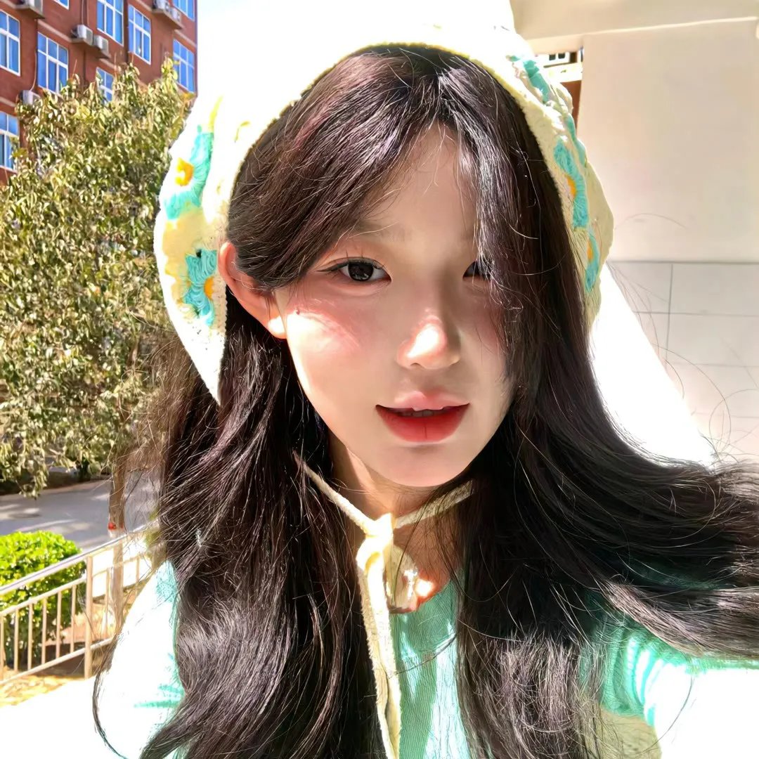 小狗波图封面